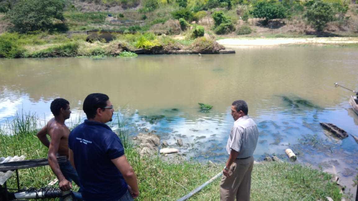 Mortandade de Peixes no Rio Pardo assusta moradores de Camacã e regiã